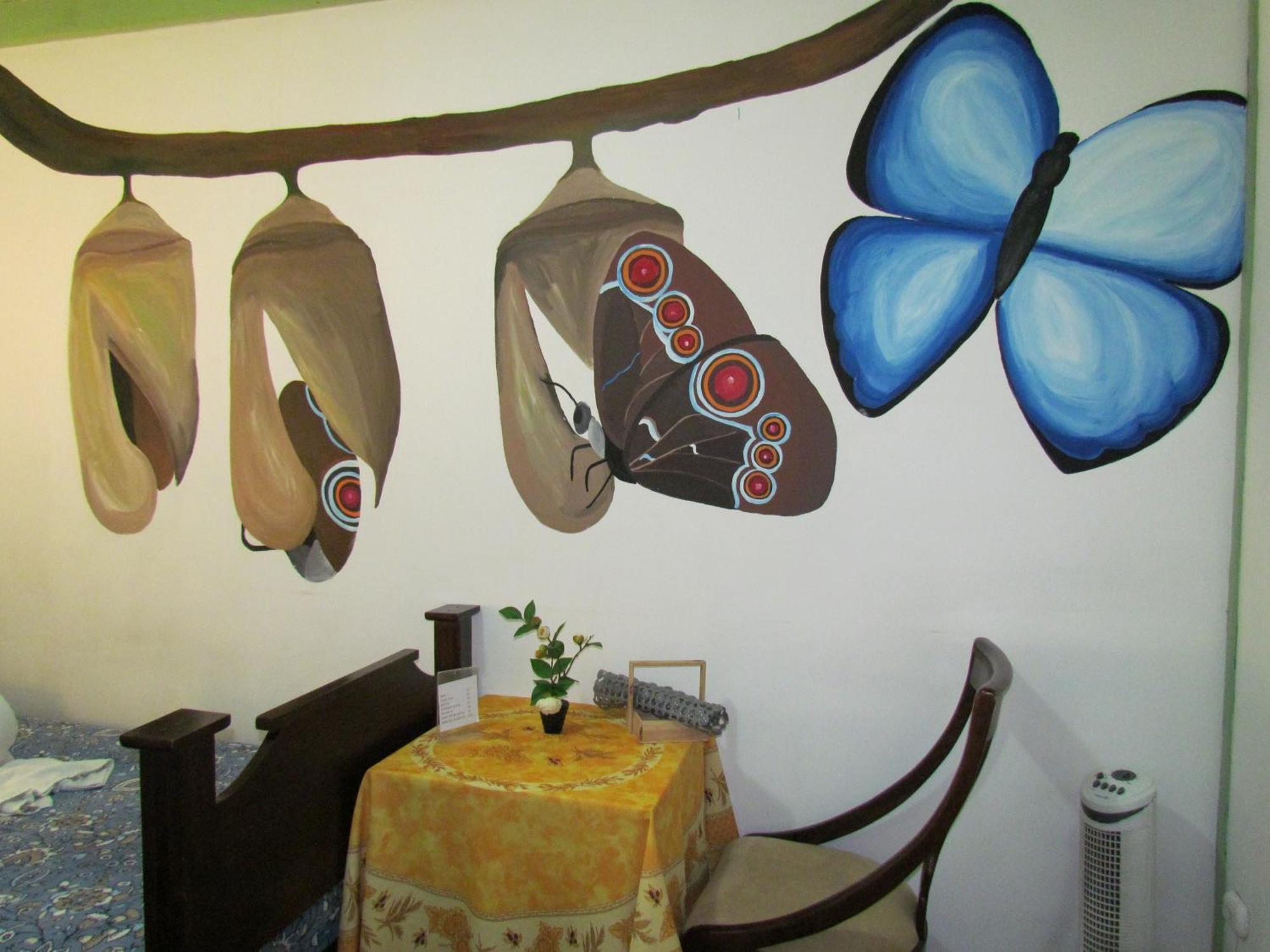 Hostel Shakti San José Extérieur photo
